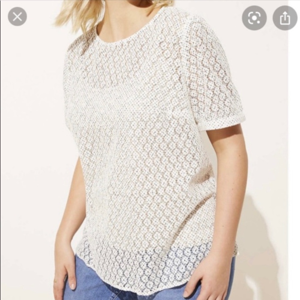 LOFT Sheer Lace Blouse With Button Back